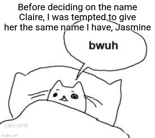 Bwuh | Before deciding on the name Claire, I was tempted to give her the same name I have, Jasmine | image tagged in bwuh | made w/ Imgflip meme maker