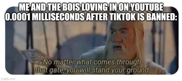 Gandalf stand your ground | ME AND THE BOIS LOVING IN ON YOUTUBE 0.0001 MILLISECONDS AFTER TIKTOK IS BANNED: | image tagged in gandalf stand your ground | made w/ Imgflip meme maker