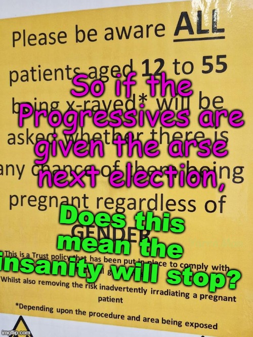 Conservatives, if next election, we vote you in, can you confirm the INSANITY will stop? | So if the Progressives are given the arse next election, Does this mean the insanity will stop? Yarra Man | image tagged in democrats,labor,labour,woke,self gratification by proxy,virtue signalling | made w/ Imgflip meme maker