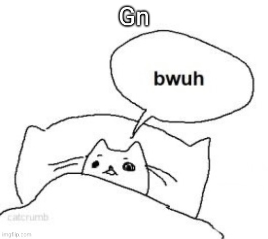 Bwuh | Gn | image tagged in bwuh | made w/ Imgflip meme maker