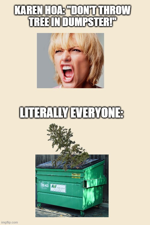 yeah I'm putting it next to the dumpster idc | KAREN HOA: "DON'T THROW
TREE IN DUMPSTER!"; LITERALLY EVERYONE: | image tagged in tree,dumpster,hoa,karen | made w/ Imgflip meme maker