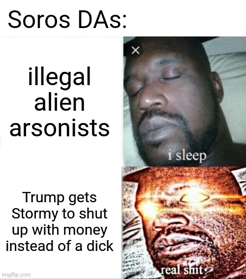 Sleeping Shaq Meme | illegal alien arsonists Trump gets Stormy to shut up with money instead of a dick Soros DAs: | image tagged in memes,sleeping shaq | made w/ Imgflip meme maker