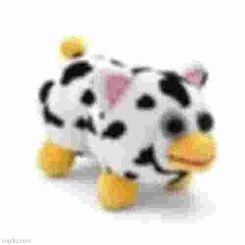 extremely low quality peepy | image tagged in peepy | made w/ Imgflip meme maker