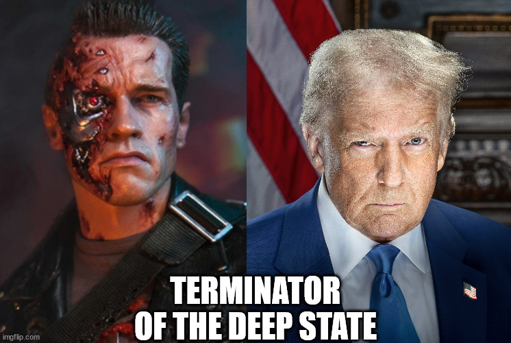 Terminator of the Deep State | TERMINATOR
OF THE DEEP STATE | image tagged in politics,memes,donald trump,terminator | made w/ Imgflip meme maker