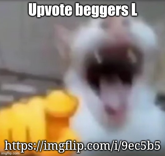 Cat pointing and laughing | Upvote beggers L; https://imgflip.com/i/9ec5b5 | image tagged in cat pointing and laughing | made w/ Imgflip meme maker