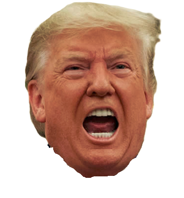 Trump Blank Meme Template