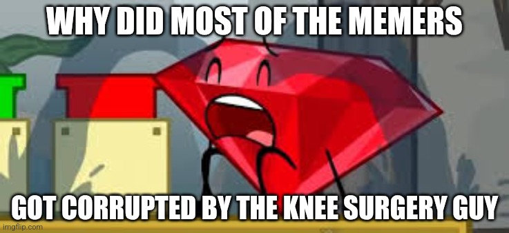 This is a serious discussion | WHY DID MOST OF THE MEMERS; GOT CORRUPTED BY THE KNEE SURGERY GUY | image tagged in bfdi ruby crying | made w/ Imgflip meme maker