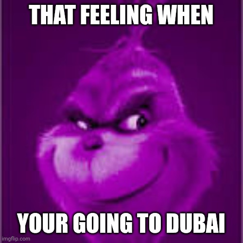 Never post here again, lil bro | THAT FEELING WHEN; YOUR GOING TO DUBAI | image tagged in purple grinch | made w/ Imgflip meme maker