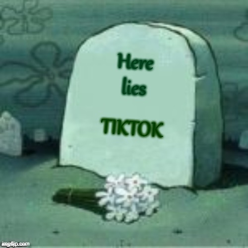 Here Lies X | Here lies; TIKTOK | image tagged in here lies x | made w/ Imgflip meme maker