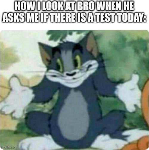 There is a test? | HOW I LOOK AT BRO WHEN HE ASKS ME IF THERE IS A TEST TODAY: | image tagged in tom shrugging | made w/ Imgflip meme maker