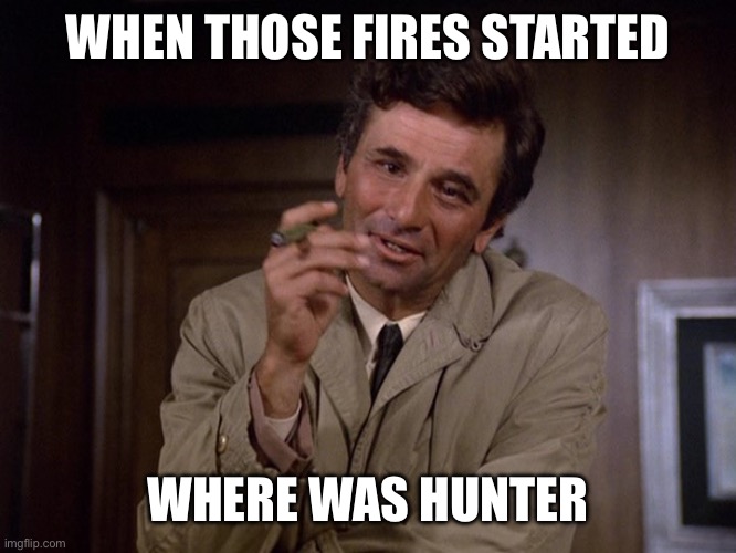 colombo | WHEN THOSE FIRES STARTED WHERE WAS HUNTER | image tagged in colombo | made w/ Imgflip meme maker