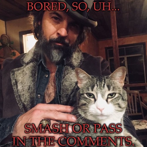 No Animals Or Robots Or Children (Nekos Is A Maybe) | BORED, SO, UH... SMASH OR PASS
IN THE COMMENTS. | image tagged in theres a new sheriff in town,humanlike is okay in most circumstances,smash or pass,in the comments,lets go | made w/ Imgflip meme maker