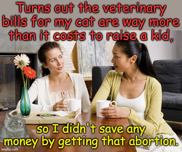 And you still have to feed them and clean up after them, and they wake you up at night... | Turns out the veterinary bills for my cat are way more than it costs to raise a kid, so I didn't save any money by getting that abortion. | image tagged in women talking over coffee | made w/ Imgflip meme maker