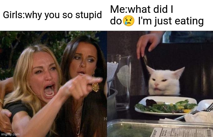 Woman Yelling At Cat | Girls:why you so stupid; Me:what did I do😢 I'm just eating | image tagged in memes,woman yelling at cat | made w/ Imgflip meme maker