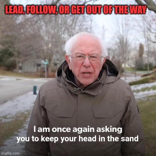 Bernie I Am Once Again Asking For Your Support Meme | LEAD, FOLLOW, OR GET OUT OF THE WAY you to keep your head in the sand | image tagged in memes,bernie i am once again asking for your support | made w/ Imgflip meme maker