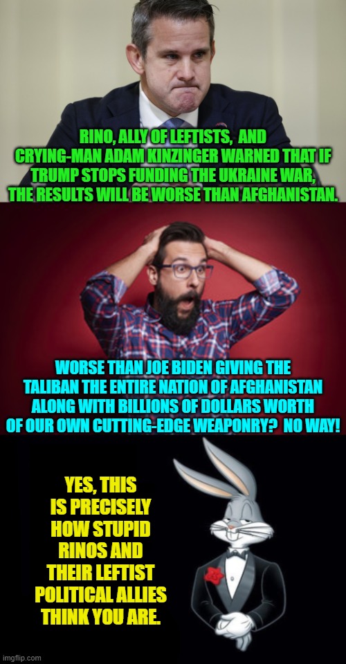 Do you feel as stupid as RINOs and their leftist political allies THINK you are? | RINO, ALLY OF LEFTISTS,  AND CRYING-MAN ADAM KINZINGER WARNED THAT IF TRUMP STOPS FUNDING THE UKRAINE WAR, THE RESULTS WILL BE WORSE THAN AFGHANISTAN. WORSE THAN JOE BIDEN GIVING THE TALIBAN THE ENTIRE NATION OF AFGHANISTAN ALONG WITH BILLIONS OF DOLLARS WORTH OF OUR OWN CUTTING-EDGE WEAPONRY?  NO WAY! YES, THIS IS PRECISELY HOW STUPID RINOS AND THEIR LEFTIST POLITICAL ALLIES THINK YOU ARE. | image tagged in nope | made w/ Imgflip meme maker