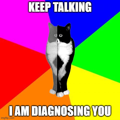 I AM DIAGNOSING YOU | KEEP TALKING; I AM DIAGNOSING YOU | image tagged in cawl,cat,cats,bipolar,funny | made w/ Imgflip meme maker