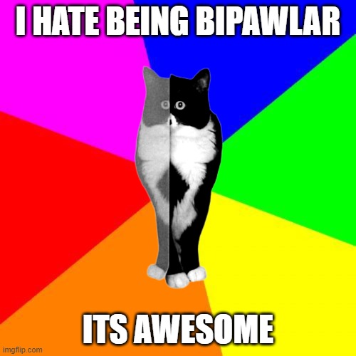 I HATE BEING BIPAWLAR | I HATE BEING BIPAWLAR; ITS AWESOME | image tagged in cawl,bipolar,cat,cats,funny | made w/ Imgflip meme maker