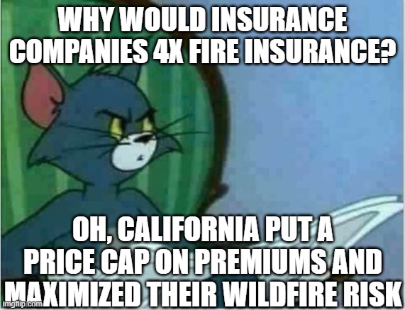 Interrupting Tom's Read | WHY WOULD INSURANCE COMPANIES 4X FIRE INSURANCE? OH, CALIFORNIA PUT A PRICE CAP ON PREMIUMS AND MAXIMIZED THEIR WILDFIRE RISK | image tagged in interrupting tom's read | made w/ Imgflip meme maker