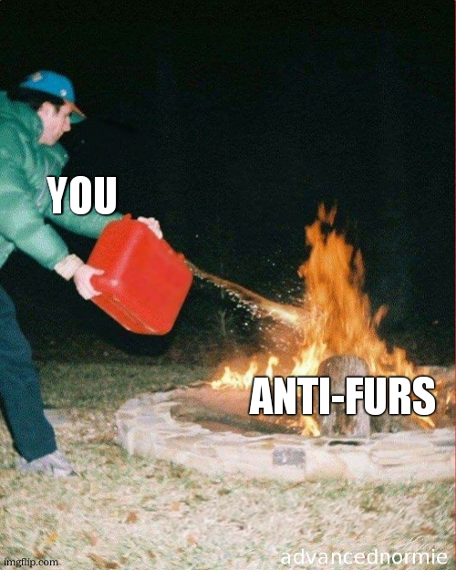 when u make a furry meme in the fun stream | YOU; ANTI-FURS | image tagged in pouring gas on fire,furry,memes | made w/ Imgflip meme maker