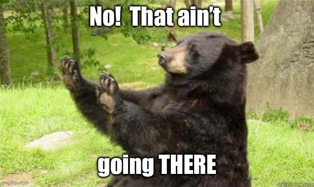 How about no bear | No!  That ain’t going THERE | image tagged in how about no bear | made w/ Imgflip meme maker