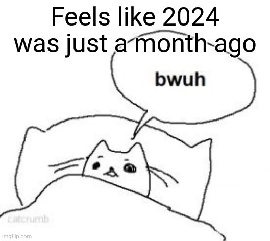 Bwuh | Feels like 2024 was just a month ago | image tagged in bwuh | made w/ Imgflip meme maker