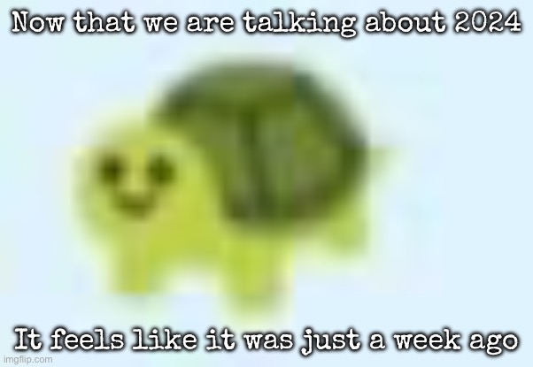 low quality turtle | Now that we are talking about 2024; It feels like it was just a week ago | image tagged in low quality turtle,msmg | made w/ Imgflip meme maker