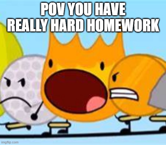 Open Mouth Firey | POV YOU HAVE REALLY HARD HOMEWORK | image tagged in open mouth firey | made w/ Imgflip meme maker