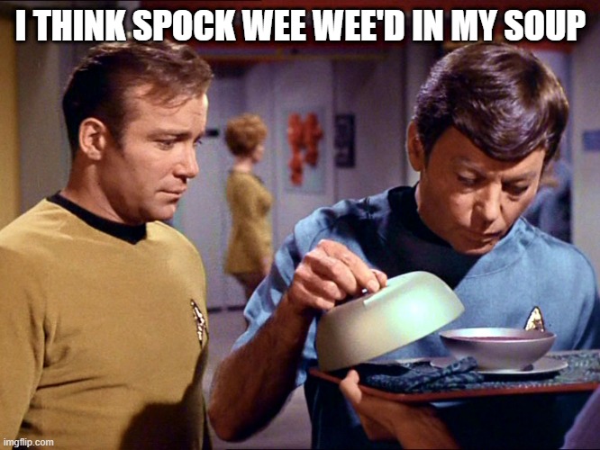 Spock Spice | I THINK SPOCK WEE WEE'D IN MY SOUP | image tagged in bones soup | made w/ Imgflip meme maker