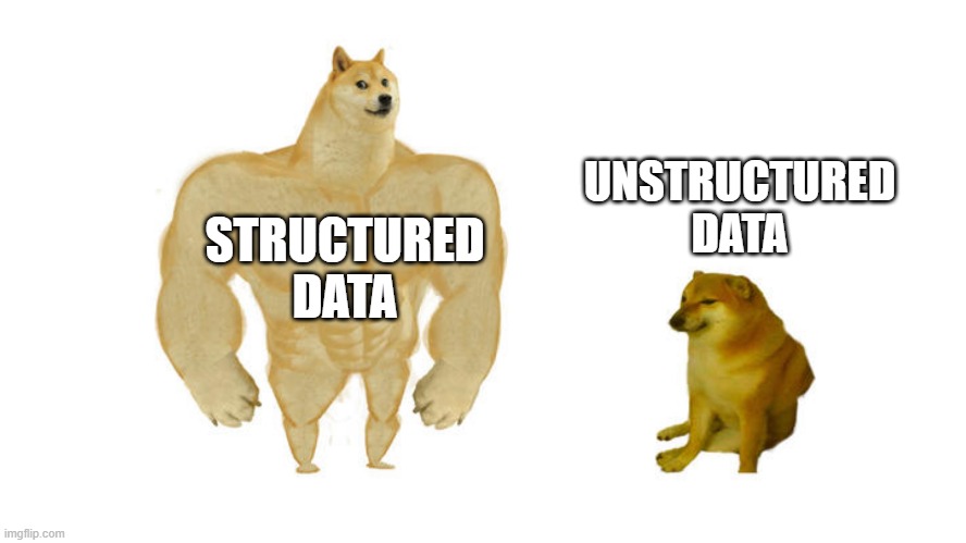 Unstructured vs structured data | UNSTRUCTURED DATA; STRUCTURED DATA | image tagged in muscle dog | made w/ Imgflip meme maker