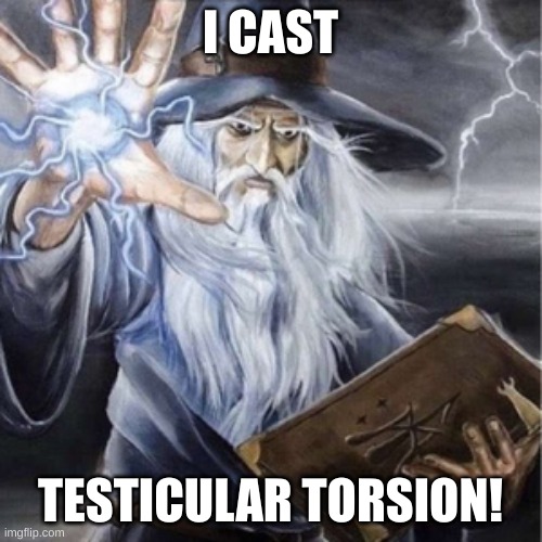 Wizard Casting | I CAST TESTICULAR TORSION! | image tagged in wizard casting | made w/ Imgflip meme maker