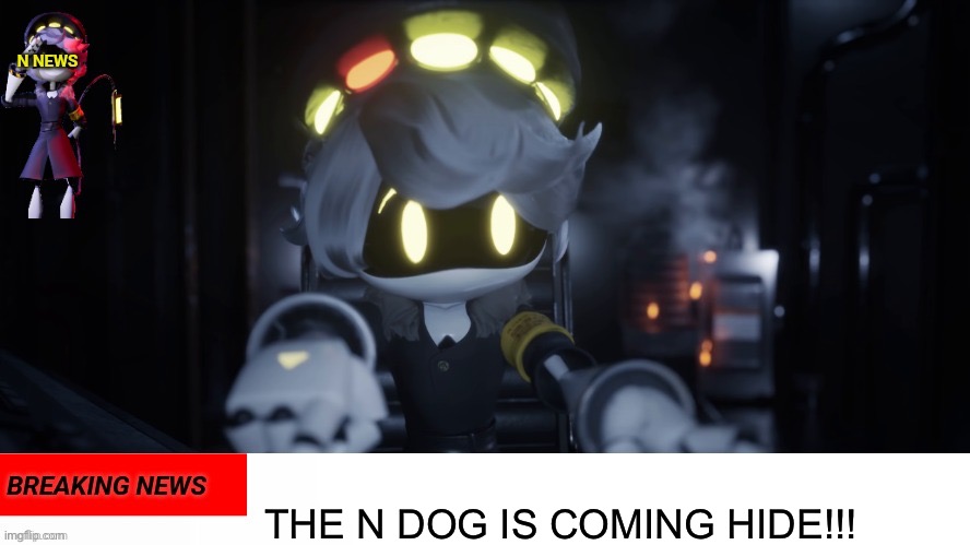 The N Dog Is Coming! Hide! | THE N DOG IS COMING HIDE!!! | image tagged in n's news | made w/ Imgflip meme maker