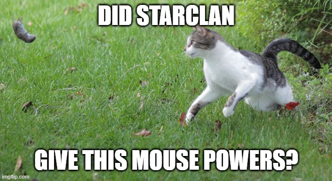 Warrior cat meme | DID STARCLAN; GIVE THIS MOUSE POWERS? | image tagged in warrior cat meme | made w/ Imgflip meme maker