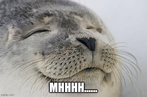 Satisfied Seal Meme | MHHHH...... | image tagged in memes,satisfied seal | made w/ Imgflip meme maker