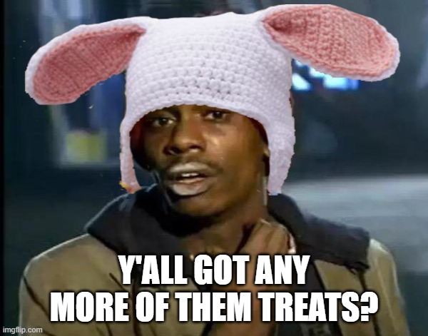 Living with a house rabbit be like... | Y'ALL GOT ANY MORE OF THEM TREATS? | image tagged in rabbit,rabbits,pets | made w/ Imgflip meme maker