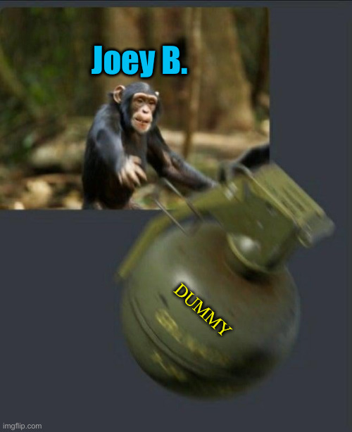 Ooh, Ooh, Ooh ! Mongo Joe Fling Poo ! | Joey B. DUMMY | image tagged in monkey throwing grenade,fjb,political meme,politics,funny memes,funny | made w/ Imgflip meme maker