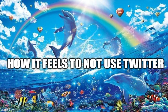 Happy dolphin rainbow | HOW IT FEELS TO NOT USE TWITTER | image tagged in happy dolphin rainbow | made w/ Imgflip meme maker