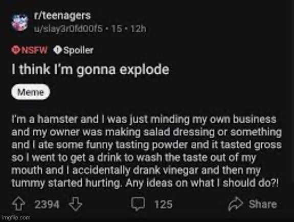 Life of a hamster: | made w/ Imgflip meme maker