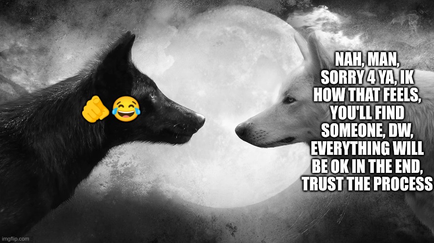 You have two wolves | ?? NAH, MAN, SORRY 4 YA, IK HOW THAT FEELS, YOU'LL FIND SOMEONE, DW, EVERYTHING WILL BE OK IN THE END, TRUST THE PROCESS | image tagged in you have two wolves | made w/ Imgflip meme maker