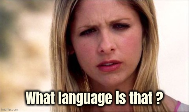 Buffy The Vampire Slayer WTF | What language is that ? | image tagged in buffy the vampire slayer wtf | made w/ Imgflip meme maker