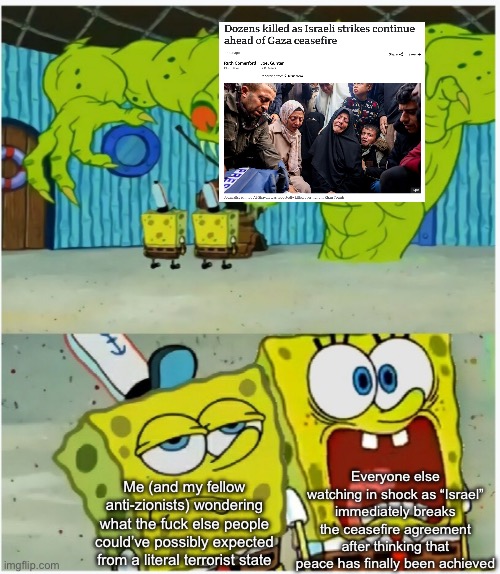 But nooo, Khamas are the real terrorists, that’s what Zionists have been assuring us for the past 15 months | Everyone else watching in shock as “Israel” immediately breaks the ceasefire agreement after thinking that peace has finally been achieved; Me (and my fellow anti-zionists) wondering what the fuсk else people could’ve possibly expected from a literal terrorist state | image tagged in spongebob squarepants scared but also not scared | made w/ Imgflip meme maker