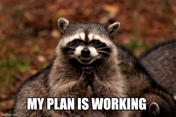 Evil Plotting Raccoon Meme | MY PLAN IS WORKING | image tagged in memes,evil plotting raccoon | made w/ Imgflip meme maker