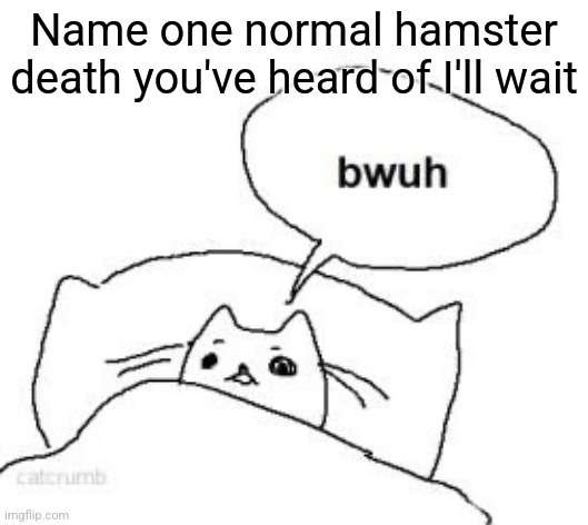 Bwuh | Name one normal hamster death you've heard of I'll wait | image tagged in bwuh | made w/ Imgflip meme maker