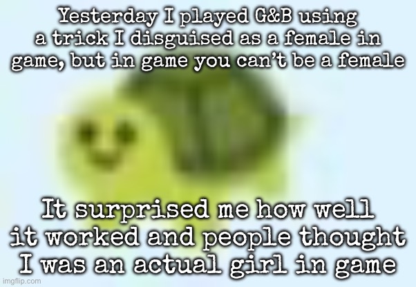 It’s a little trick I discovered | Yesterday I played G&B using a trick I disguised as a female in game, but in game you can’t be a female; It surprised me how well it worked and people thought I was an actual girl in game | image tagged in low quality turtle,msmg | made w/ Imgflip meme maker