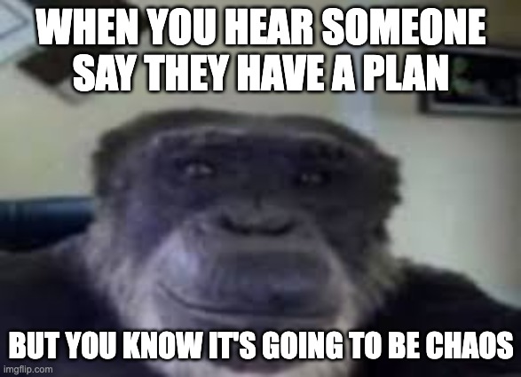 ai lol | WHEN YOU HEAR SOMEONE SAY THEY HAVE A PLAN; BUT YOU KNOW IT'S GOING TO BE CHAOS | image tagged in monke staring and smiling,memes,funny,ai,monke,oh wow are you actually reading these tags | made w/ Imgflip meme maker