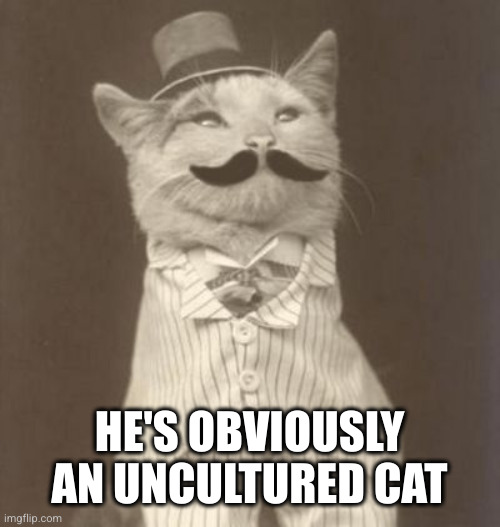 Moustache cat posh | HE'S OBVIOUSLY AN UNCULTURED CAT | image tagged in moustache cat posh | made w/ Imgflip meme maker