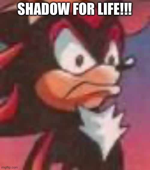 SHADOW FOR LIFE!!! | image tagged in shadow the hedgehog | made w/ Imgflip meme maker