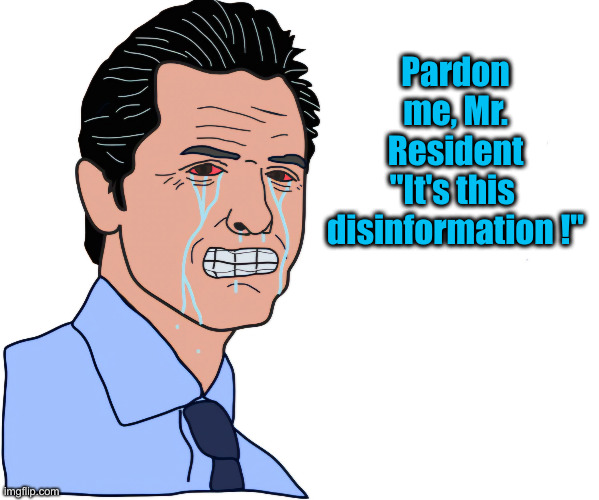 They Aren't Letting Me Cheat Right ! Waaaaahh | Pardon me, Mr. Resident "It's this 
disinformation !" | image tagged in gavin newsom,political meme,politics,funny memes,funny | made w/ Imgflip meme maker