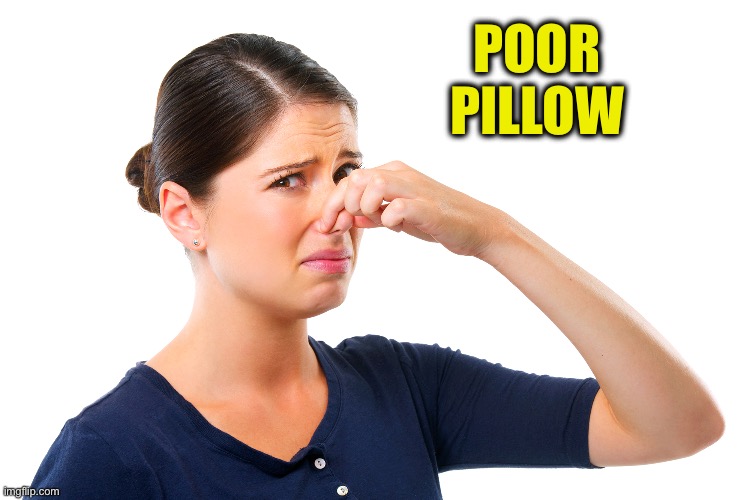 woman holding her nose | POOR PILLOW | image tagged in woman holding her nose | made w/ Imgflip meme maker