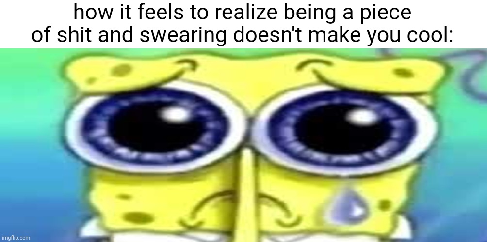 AHHAHA FUCK YOU LOL wait why doesn't anyone like me | how it feels to realize being a piece of shit and swearing doesn't make you cool: | image tagged in sad spong | made w/ Imgflip meme maker